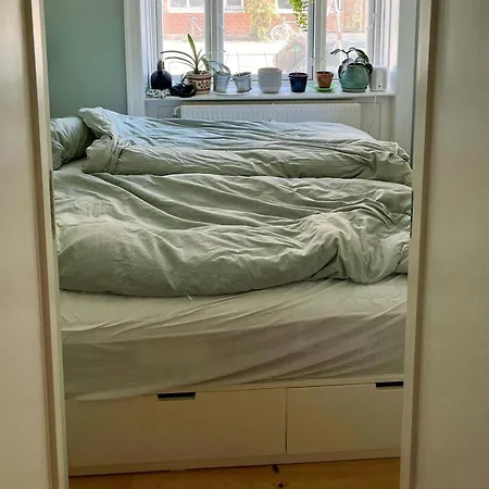 Flat With Courtyard In Former Shop